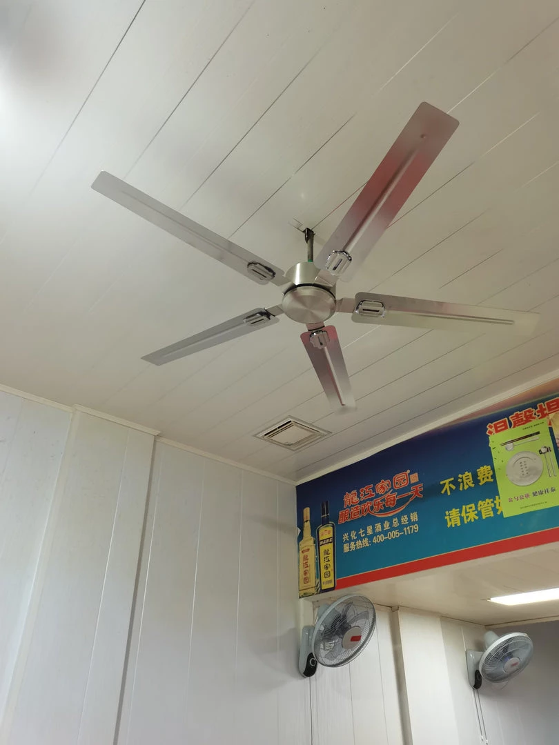 Vakkerlight Ceiling Lamp Rozzen Ceiling Fan