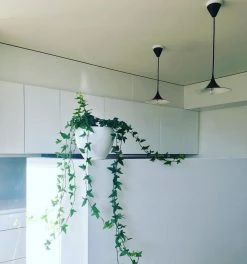 Vakkerlight Semi Pendant Light