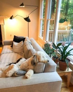 Vakkerlight Serge Mouille Floor Lamp