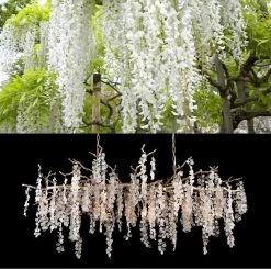 Vakkerlight Chandeliers Shiro Noda Crystal Chandelier