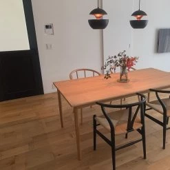 Vakkerlight Sun Pendant Lamp Pendant Lights