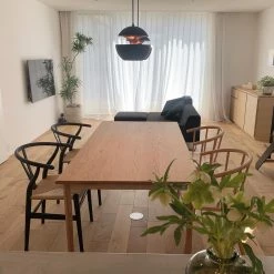 Vakkerlight Sun Pendant Lamp Pendant Lights