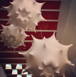 Vakkerlight Taraxacum Suspension Lamp