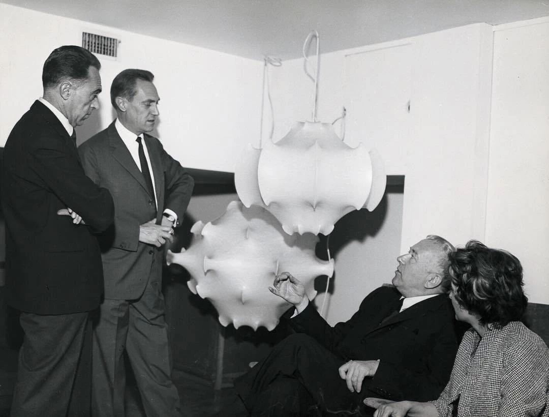 Vakkerlight Taraxacum Suspension Lamp