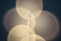 Vakkerlight Wa Wa Floor Lamp All Rooms