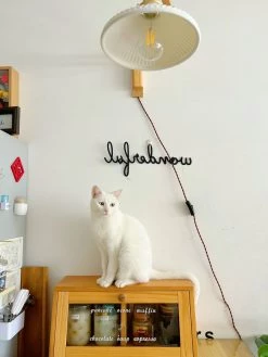 Vakkerlight Wall Sconces Walnut Telescopic Wall Lamp