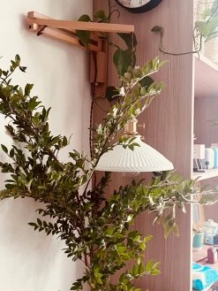 Vakkerlight Wall Sconces Walnut Telescopic Wall Lamp