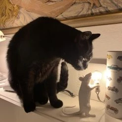 Vakkerlight Mouse Table Light