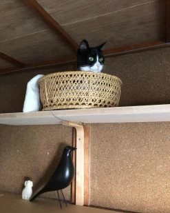 Vakkerlight Accessories Eames House Bird