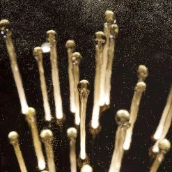 Vakkerlight Allure Chandelier